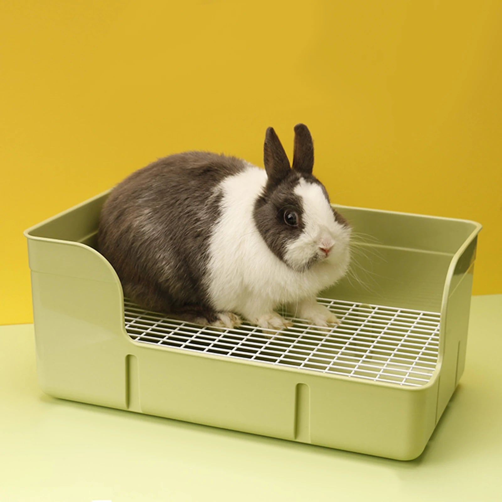 Happy-Paws Litter Trainer