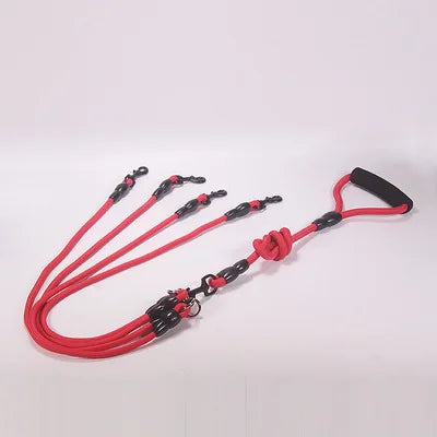 Multi-Dog Tangle-Free Leash Splitter System