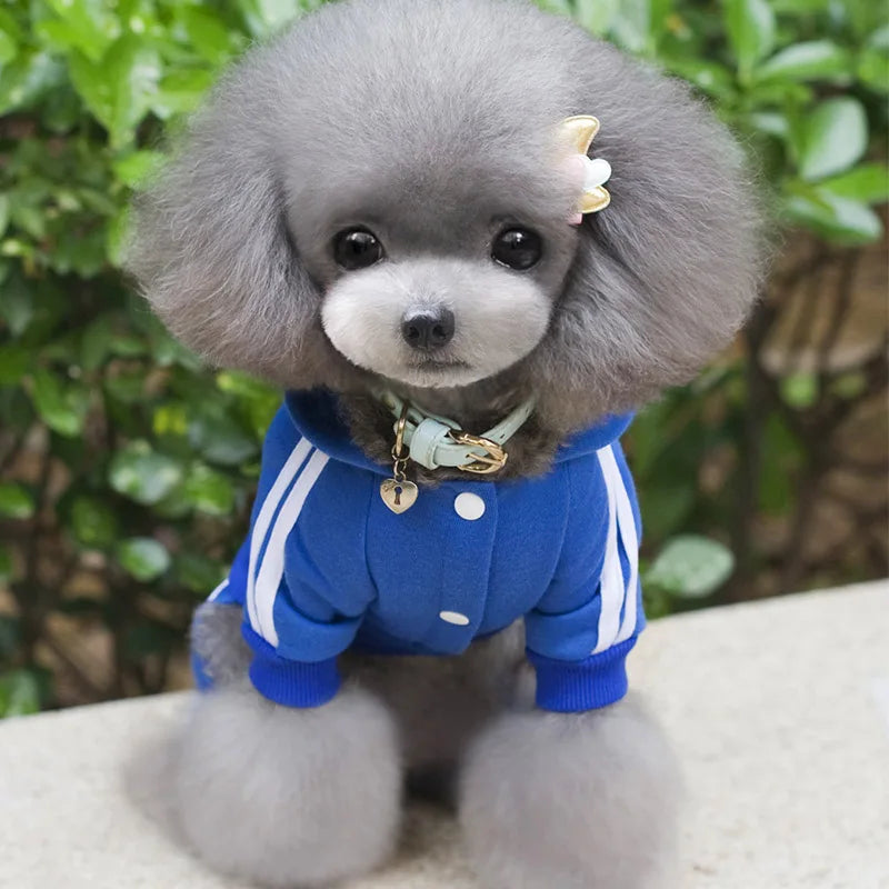 2-Piece Pet Sweat Suit (Sporty Style) - Comfort and Warmth