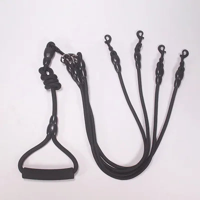 Multi-Dog Tangle-Free Leash Splitter System