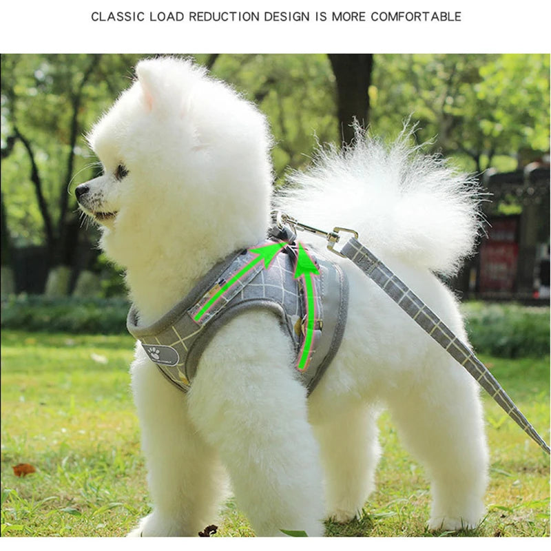 Classic Grid Pattern Comfort Harness & Leash Set