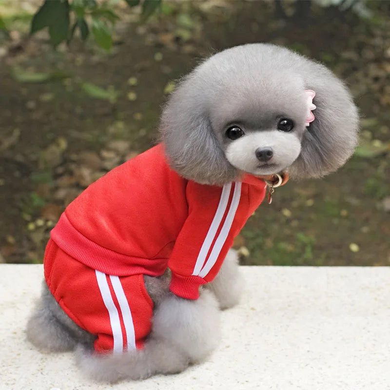 2-Piece Pet Sweat Suit (Sporty Style) - Comfort and Warmth