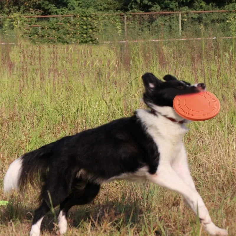 Flexible Silicone Flying Disc for Dogs - High-Performance Interactive Toy