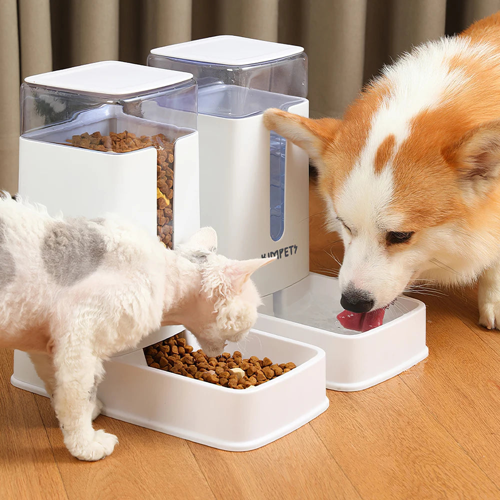 Gravity-Flow Auto Pet Feeding System (Food & Water)
