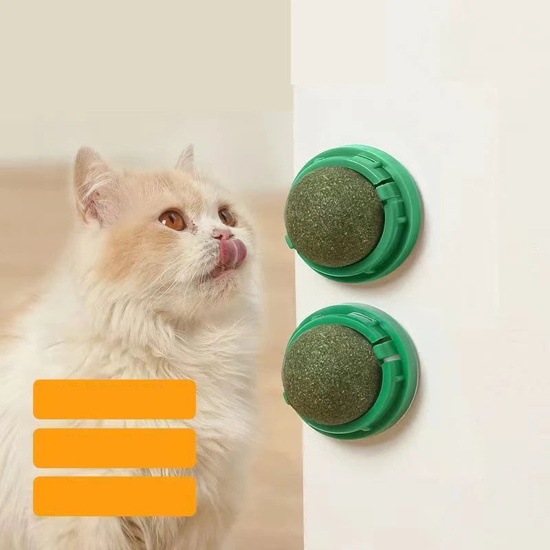 360° Rotatable Catnip for Cats - Adhesive Wall Mount and Oral Cleaning