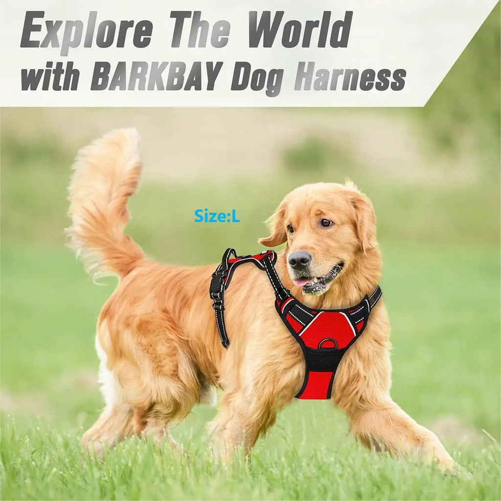 Pro-Grade Multi-Color No-Pull Harness for Large Dogs