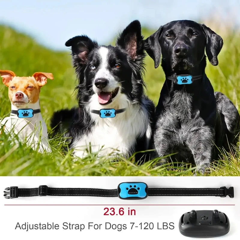 Pro-Grade 3-Mode Waterproof Rechargeable Training Collar