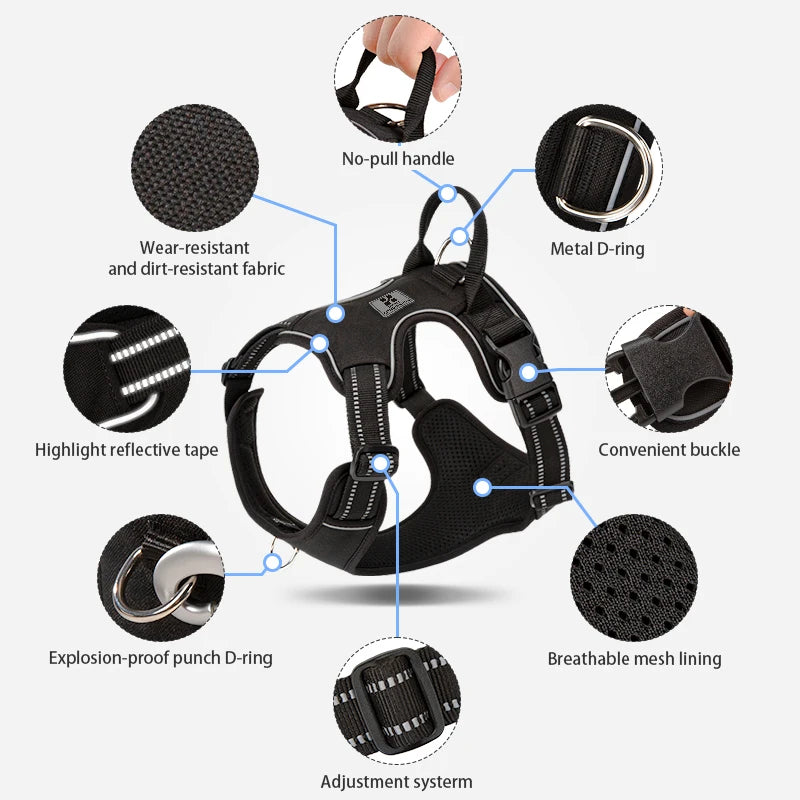 Pro-Grade Comfort and Control No-Pull Harness