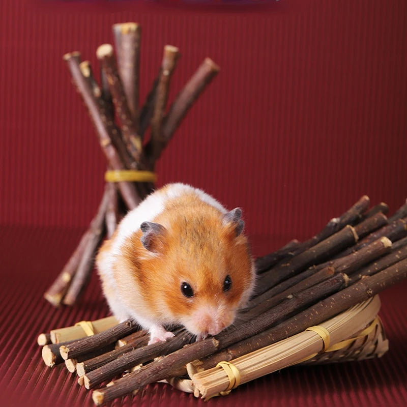 Natural Dental Chew Sticks (50g)