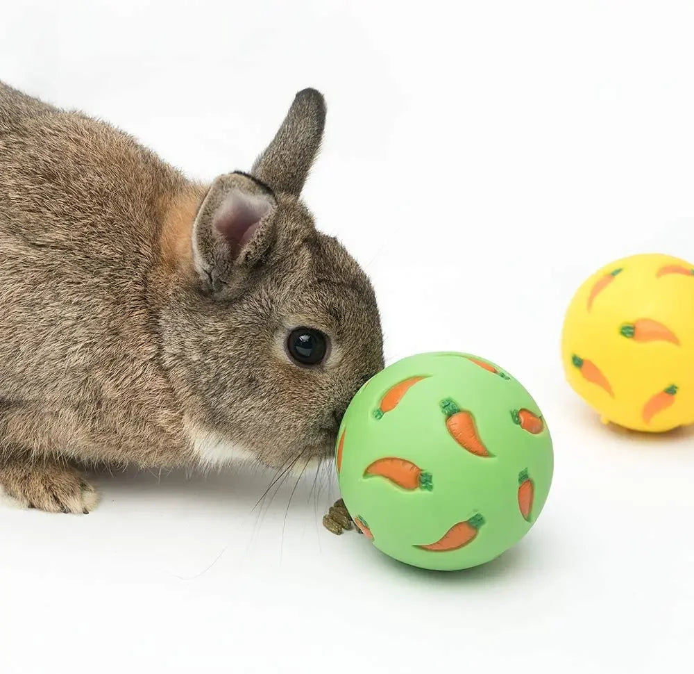 Carrot-Toss Treat Ball (Slow Feeder)