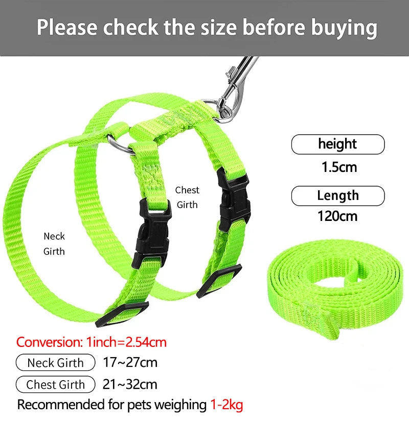 SafeStride Comfort Harness (1-2kg)
