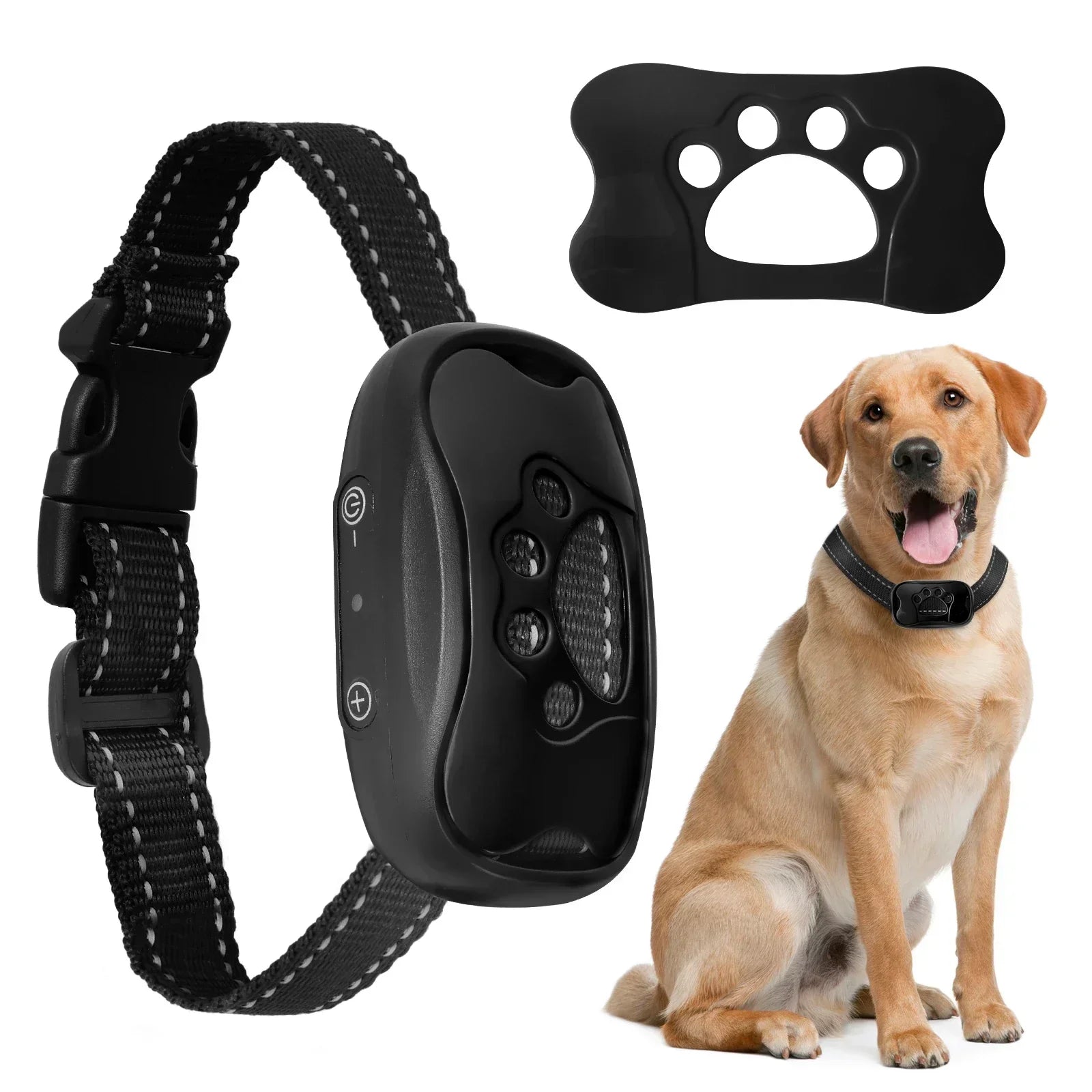 Pro-Grade 3-Mode Waterproof Rechargeable Training Collar