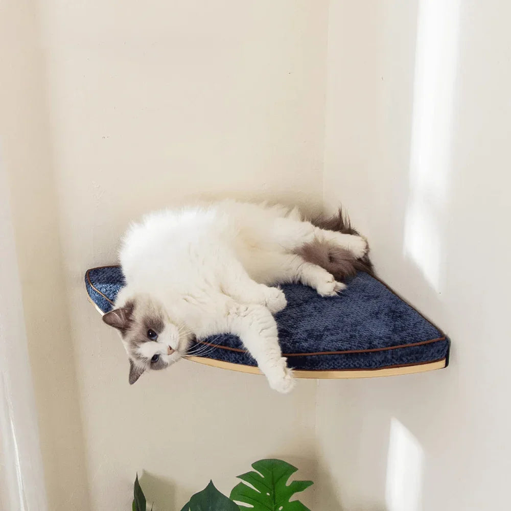 Modular Wall Mounted Cat Activity Furniture Collection