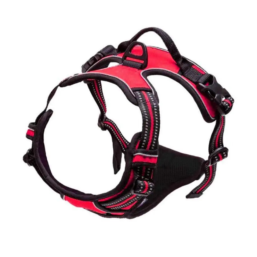 Pro-Grade Multi-Color No-Pull Harness for Large Dogs