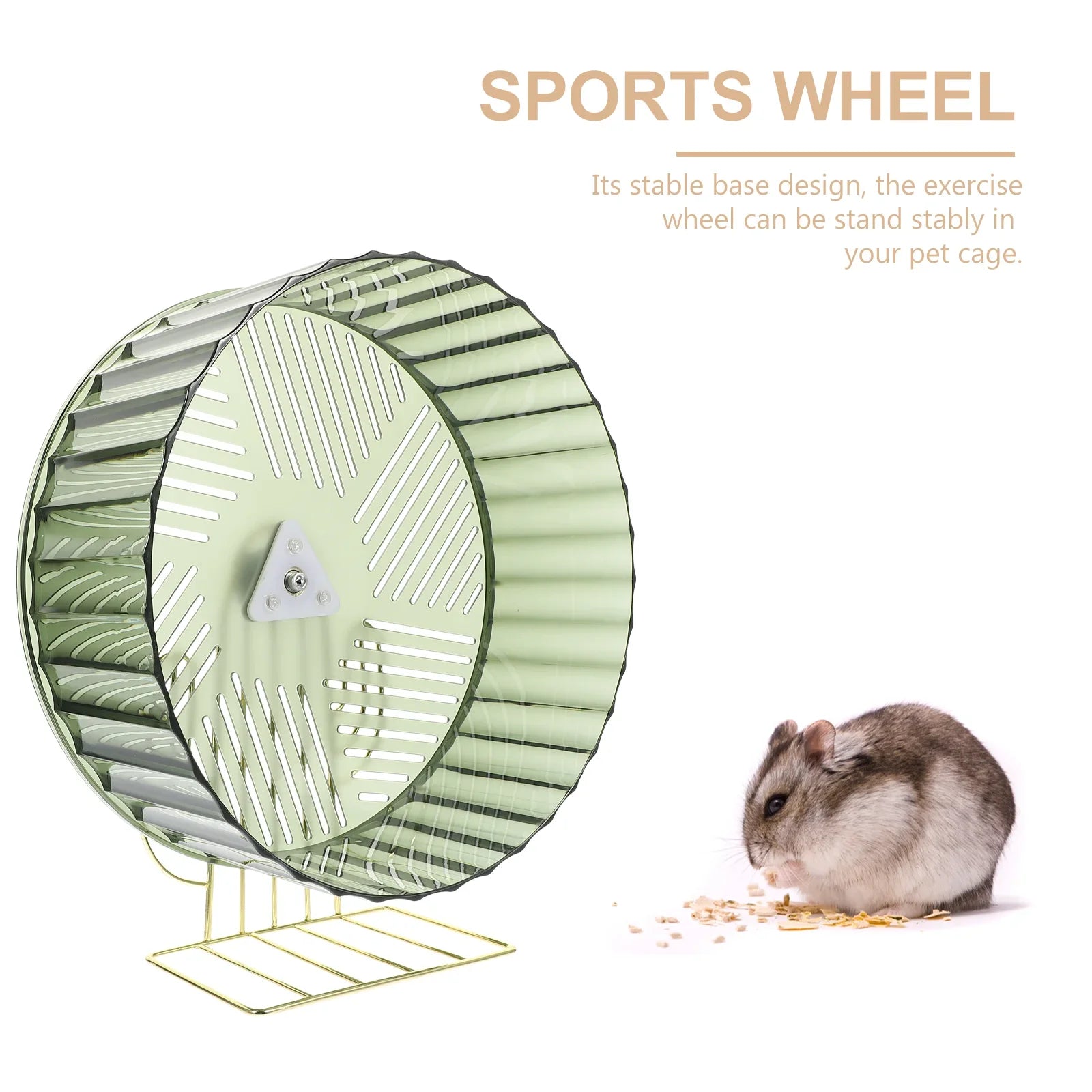 SafeStride Fitness Wheel