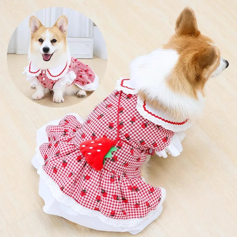 Strawberry Themed Pet Dress (Gingham and Lace) - Includes Accessory Bag