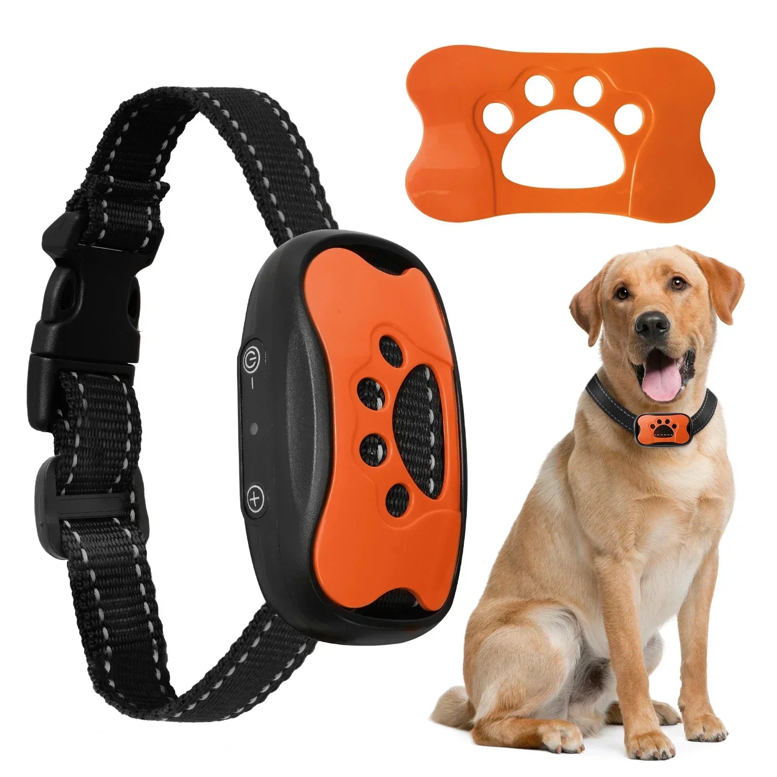 Pro-Grade 3-Mode Waterproof Rechargeable Training Collar