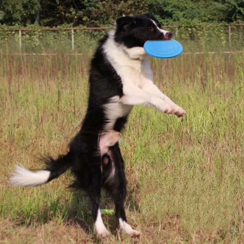 Flexible Silicone Flying Disc for Dogs - High-Performance Interactive Toy
