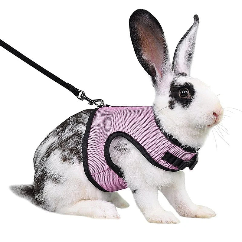 AirFlow Mesh Comfort Harness