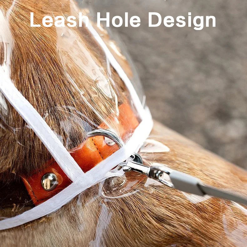 Waterproof Transparent Hooded Raincoat - Total Protection and Modern Style