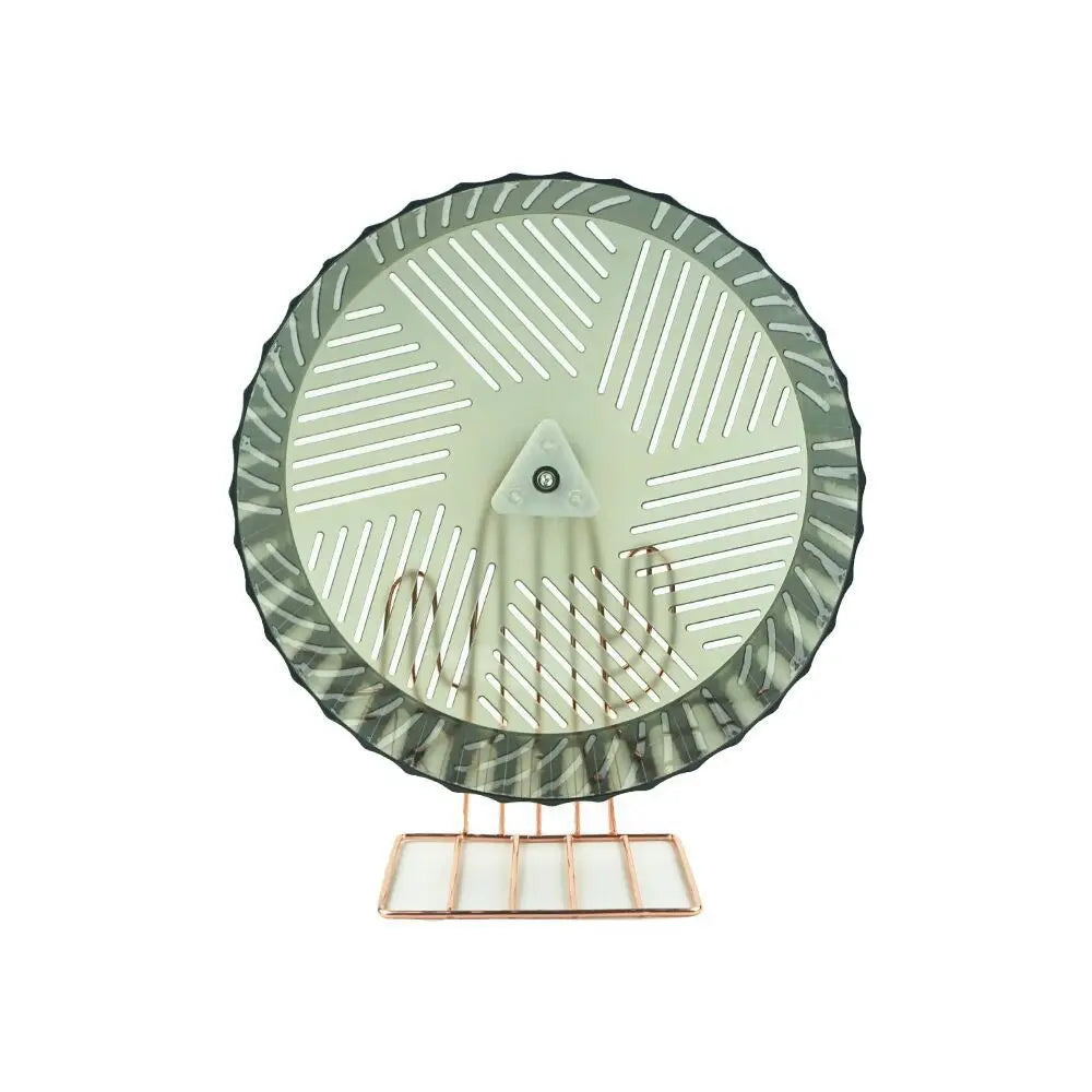 SafeStride Fitness Wheel