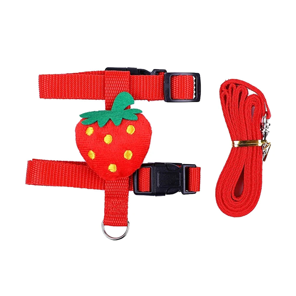 SafeStride Comfort Harness (1-2kg)