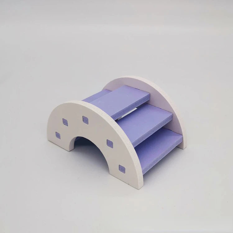 Rainbow Climb & Hide Bridge