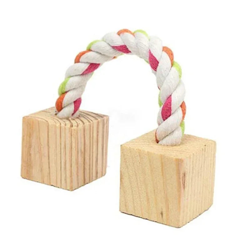 Natural Wooden Molar Toy Collection