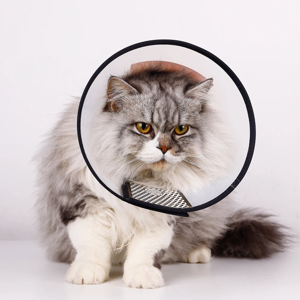 Veterinarian-Approved Clear Protective Recovery Cone (E-Collar)