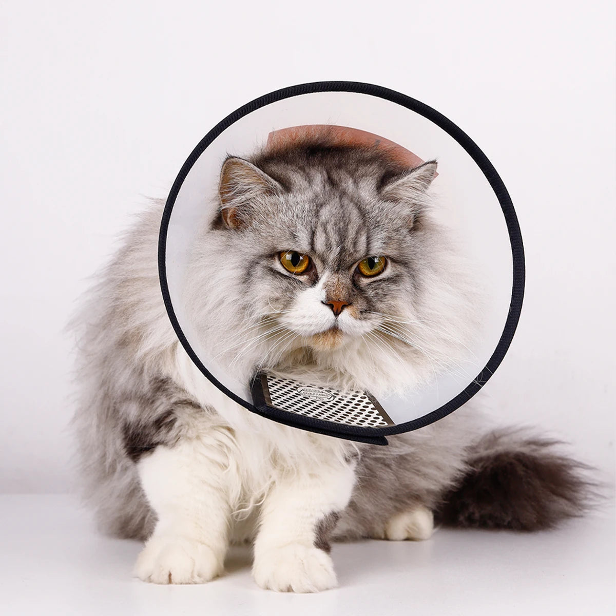 Veterinarian-Approved Clear Protective Recovery Cone (E-Collar)