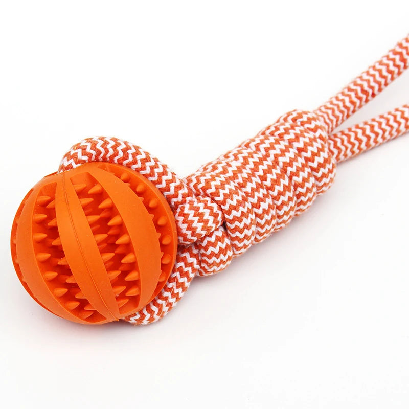 Treat Dispensing Ball Toy with Rope - Tug-of-War and Dental Cleaning