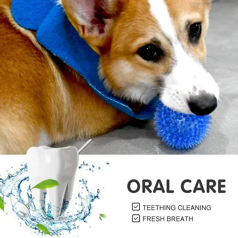 Spiky TPR Rubber Ball for Oral Care - Dental Cleaning and Fresh Breath
