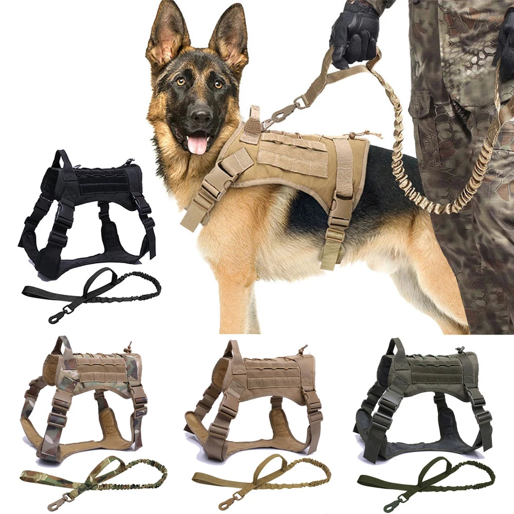 Heavy-Duty Tactical No-Pull Dog Harness and Bungee Leash Set