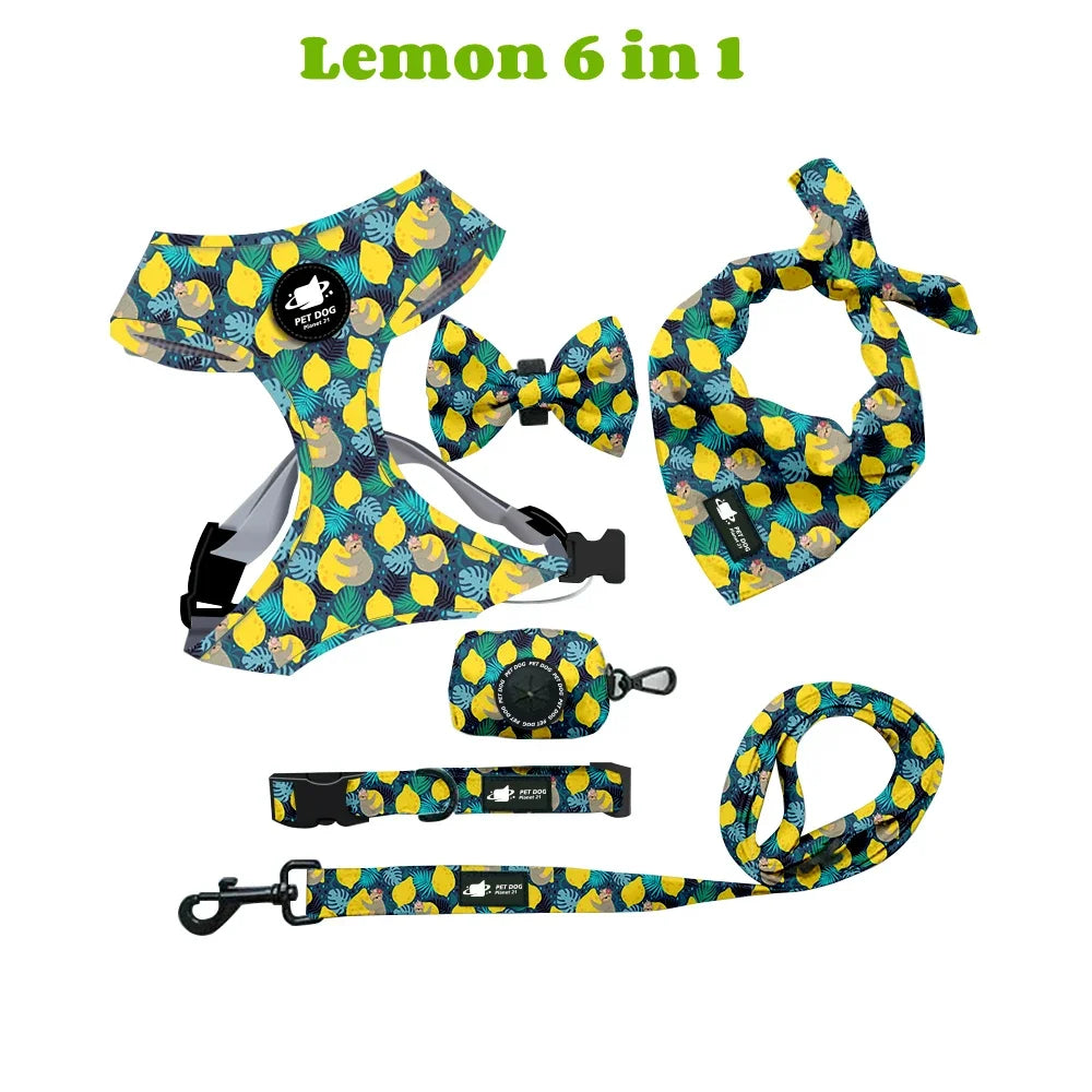 Ultimate 5-Piece Dog Accessory Set