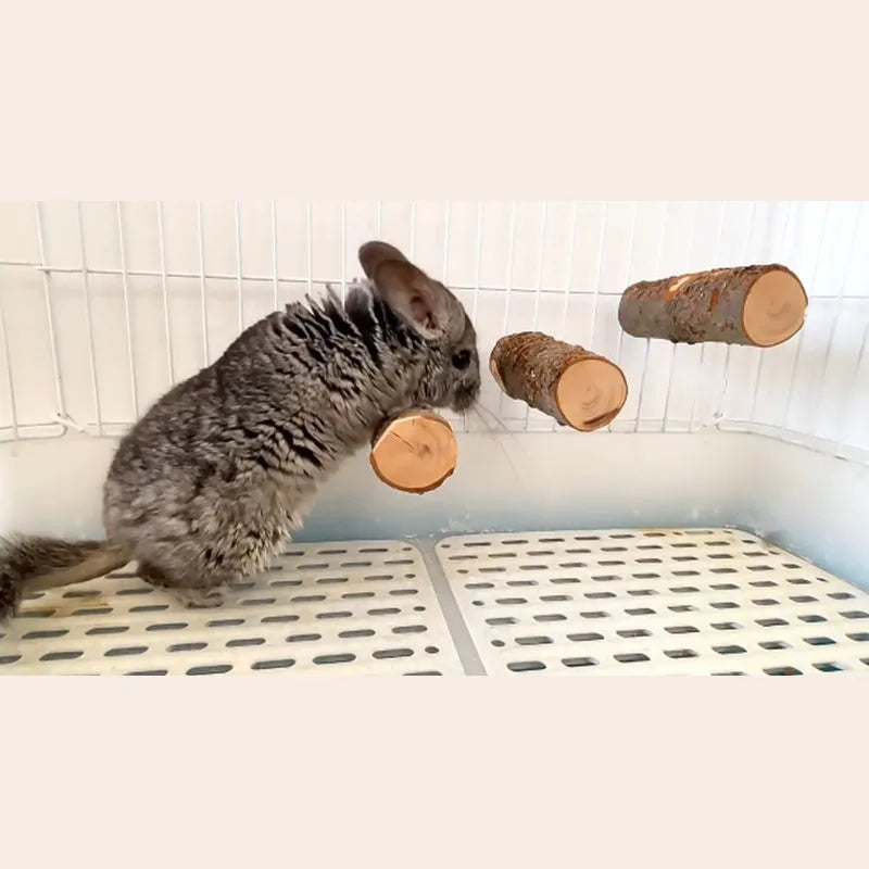 Apple Branch Flexible Climb Ladder