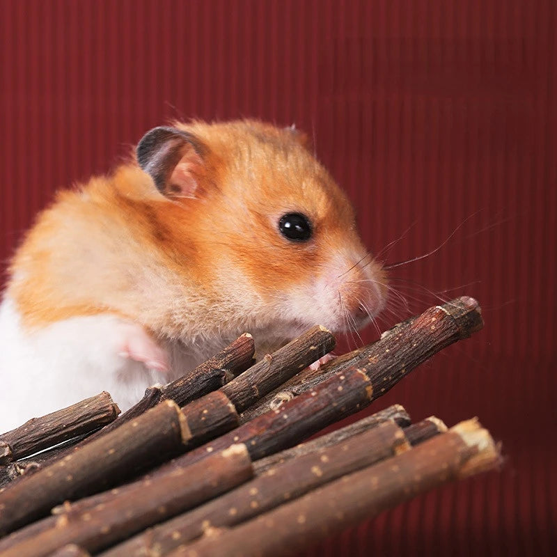 Natural Dental Chew Sticks (50g)