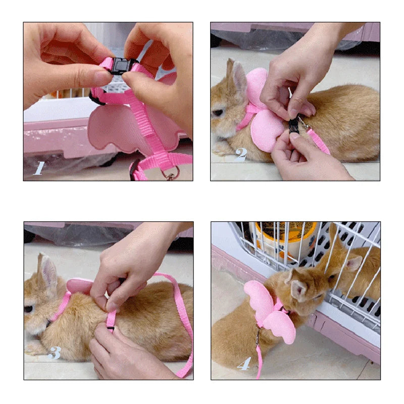 Angel Wings Pet Harness