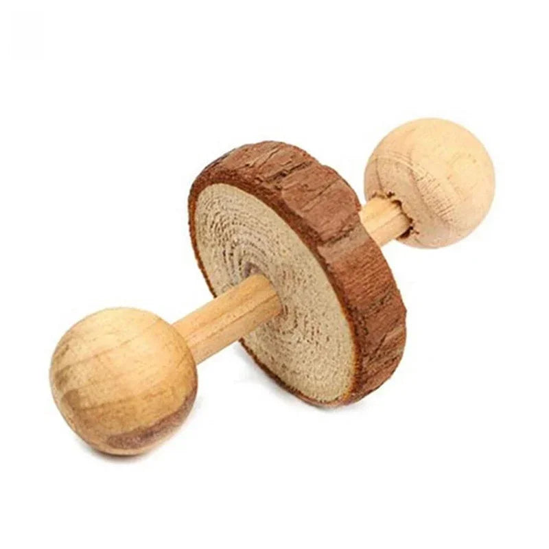 Natural Wooden Molar Toy Collection