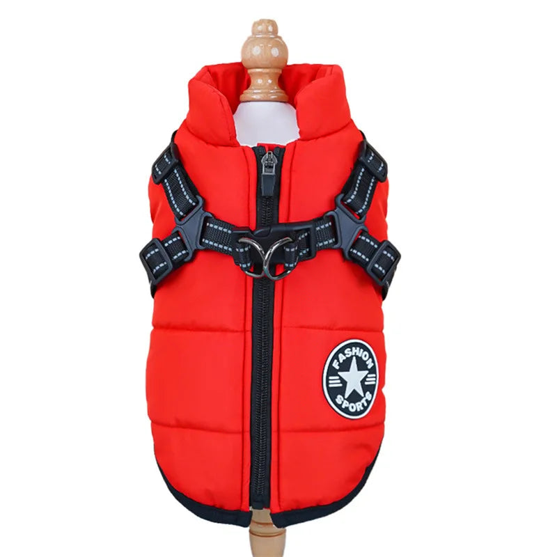 Waterproof Sport-Fashion Padded Coat with Integrated Harness