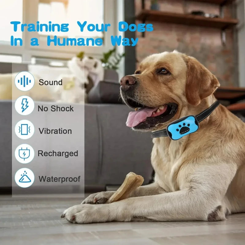 Pro-Grade 3-Mode Waterproof Rechargeable Training Collar