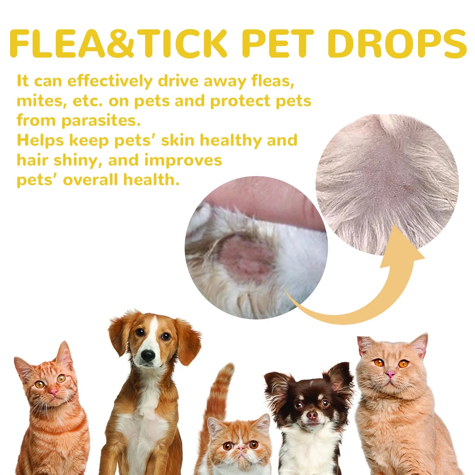 Gentle Flea & Tick Relief Pet Drops (1ml, 3ml, 5ml and 8ml)
