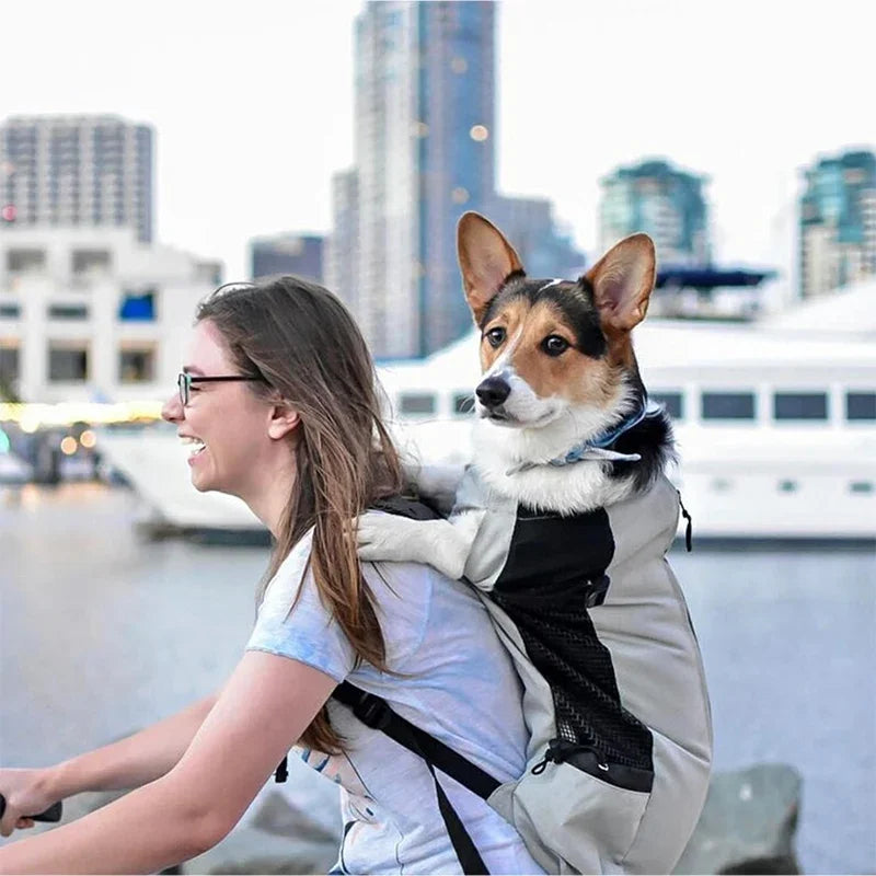 Ergonomic Hands-Free Pet Front Carrier Backpack