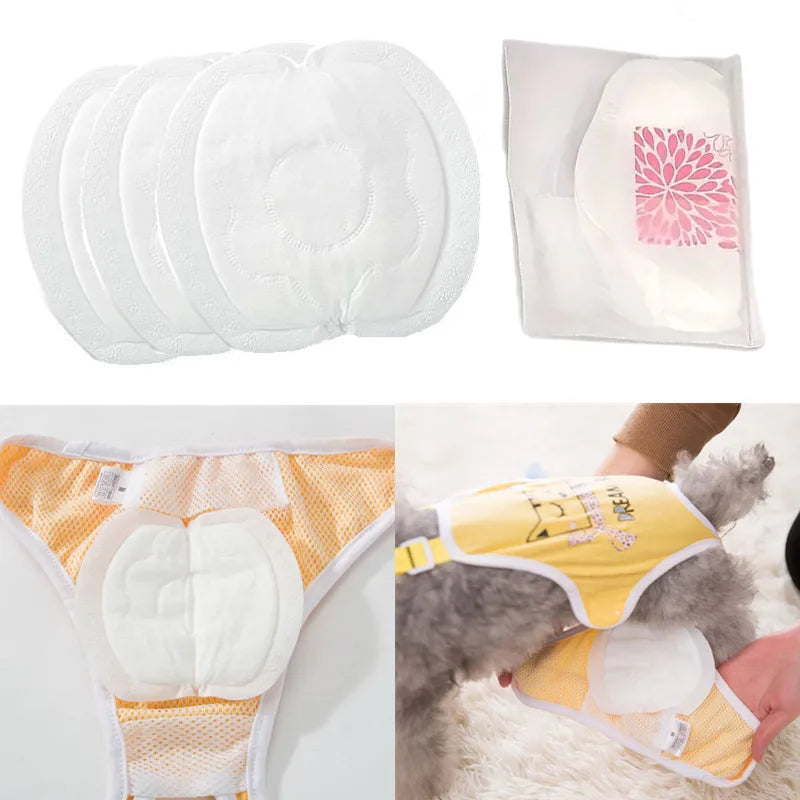 Discreet Disposable Pet Diaper Absorption Pads