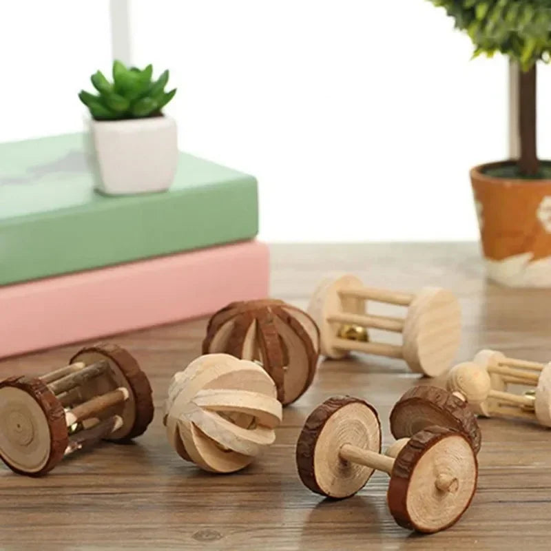 Natural Wooden Molar Toy Collection