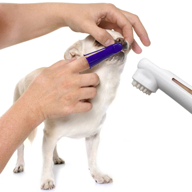 100% Care 4-in-1 Pet Dental Care Kit