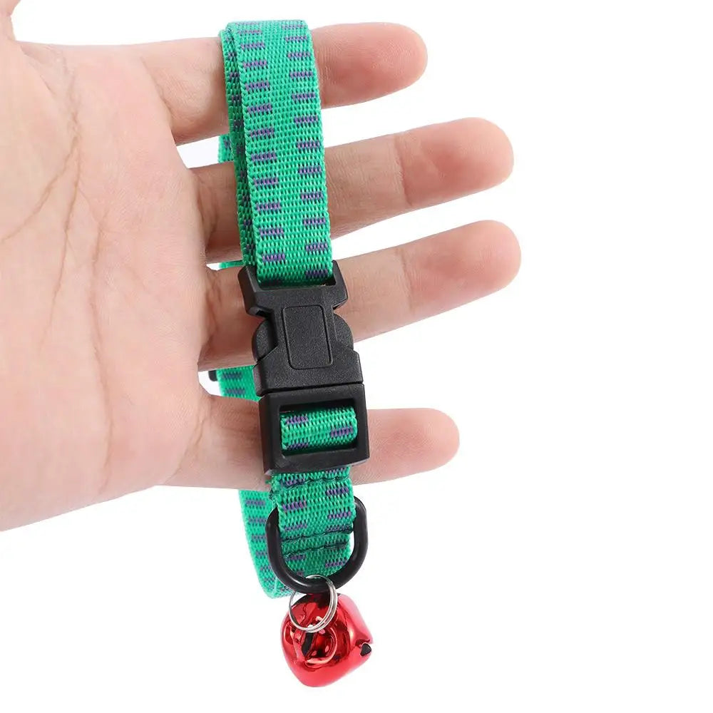 3-in-1 Multi-Pest Protection Dog Collar (Flea, Tick, Mite)