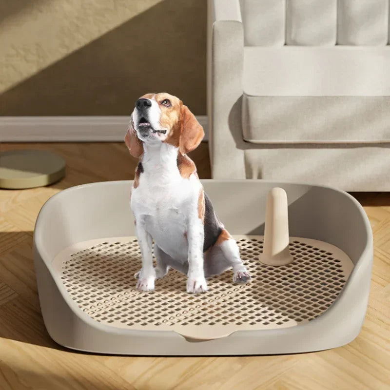 Grate Pet Potty Training Tray with Removable Pee Post