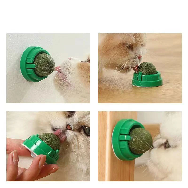 360° Rotatable Catnip for Cats - Adhesive Wall Mount and Oral Cleaning