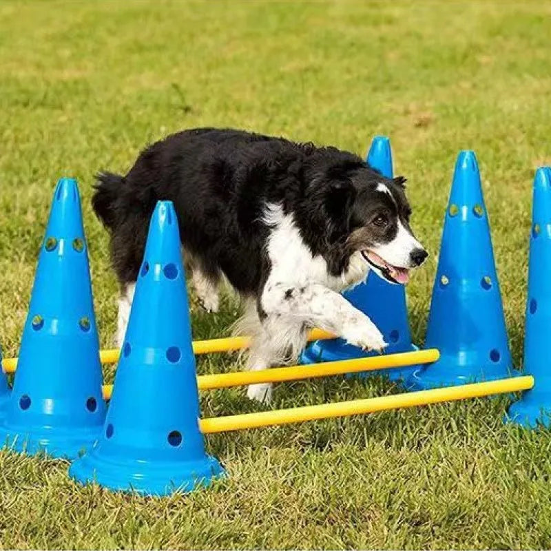 Adjustable Pet Agility Training Hurdle Set