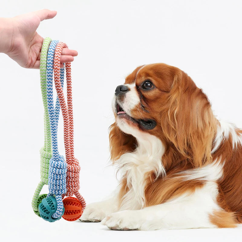 Treat Dispensing Ball Toy with Rope - Tug-of-War and Dental Cleaning